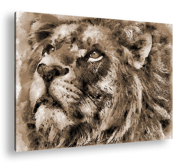 deyoli Löwen Porträt Format: 80x60 Effekt: Sepia als Leinwandbild, Motiv fertig gerahmt auf Echtholz