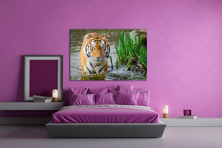 deyoli anmutiger Tiger im Wasser Format: 80x60 als Leinwandbild, Motiv fertig gerahmt auf Echtholzra