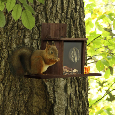 Relaxdays Eichhörnchen Futterhaus, Holz, 2 Eingänge & Sitzplattformen, zum Aufhängen, Eichhörnchenfu