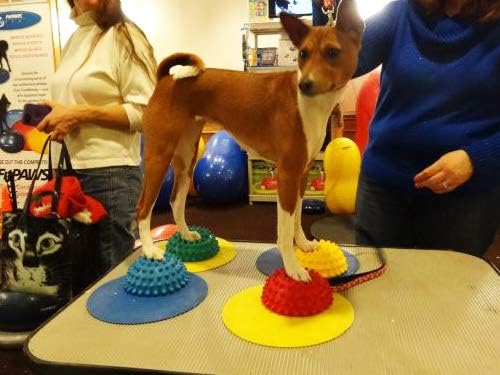 FitPAWS Dog Copenhagen Paw Pods mit Antirutsch für Hunde