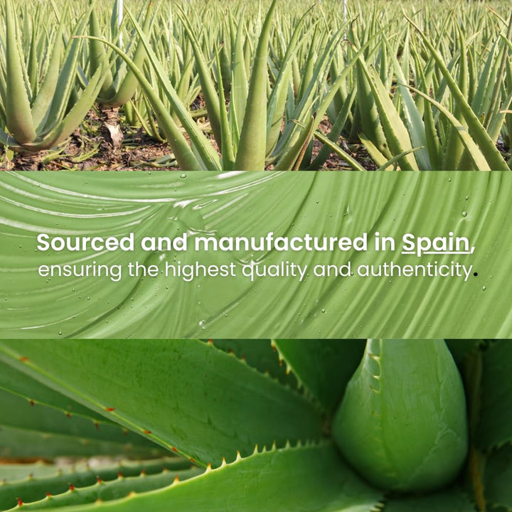 After Sun Gel Aloe Vera und Lavendel 1000ml Erfrischend, Reparierend für Gesicht und Körper, nach de