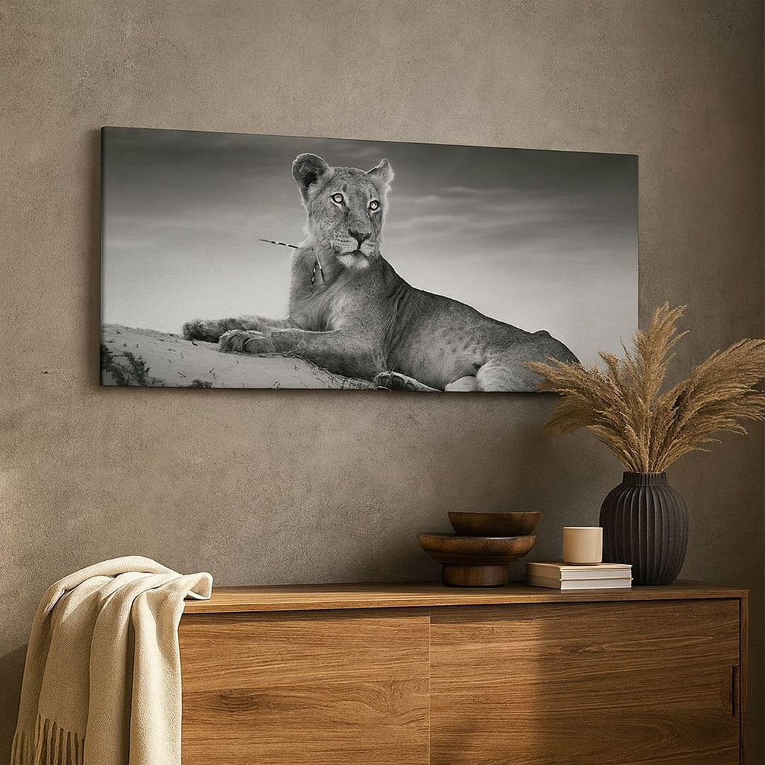 Wandbilder Dekoration Wohnzimmer Tierwelt weiblich katze Tier Panorama Bilder auf Leinwand 120x50cm