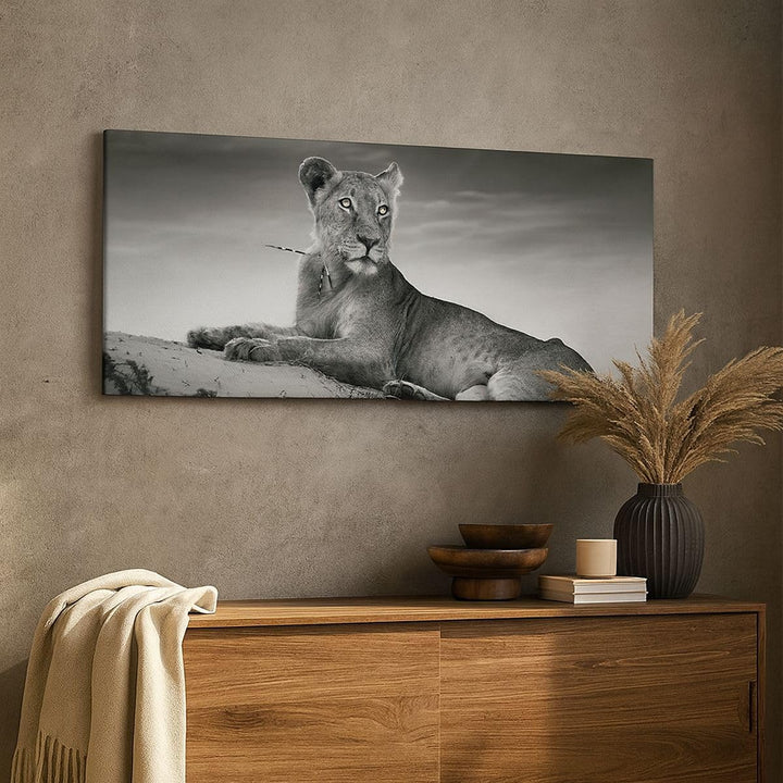 Wandbilder Dekoration Wohnzimmer Tierwelt weiblich katze Tier Panorama Bilder auf Leinwand 120x50cm