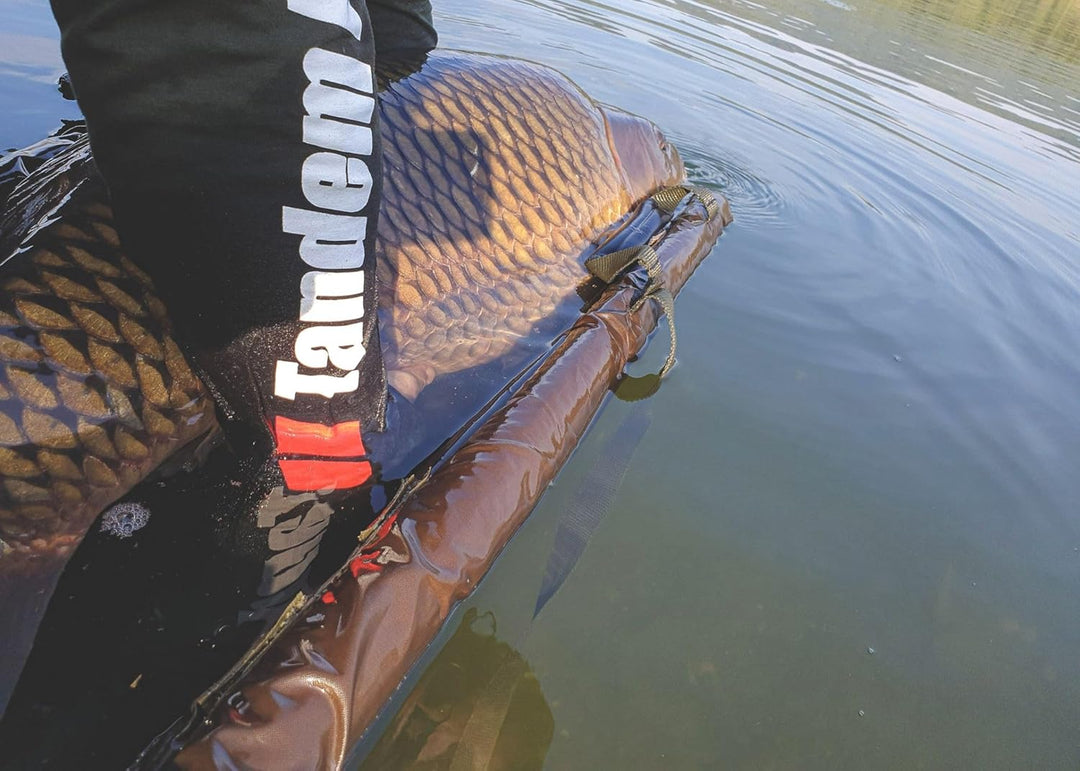 Tandem Baits Karpfen Futter Angelfutter Pop Ups Boilies Zig Rig Chod Rig Hakenköder Carp Food Perfec