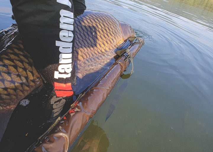Tandem Baits Karpfen Futter Angelfutter Pop Ups Boilies Zig Rig Chod Rig Hakenköder Carp Food Perfec