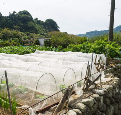 Gemüse Schutznetz Garten Insekten Netz: 3x15m Kulturschutznetz Feinmaschig Pflanzenschutznetz Tunnel
