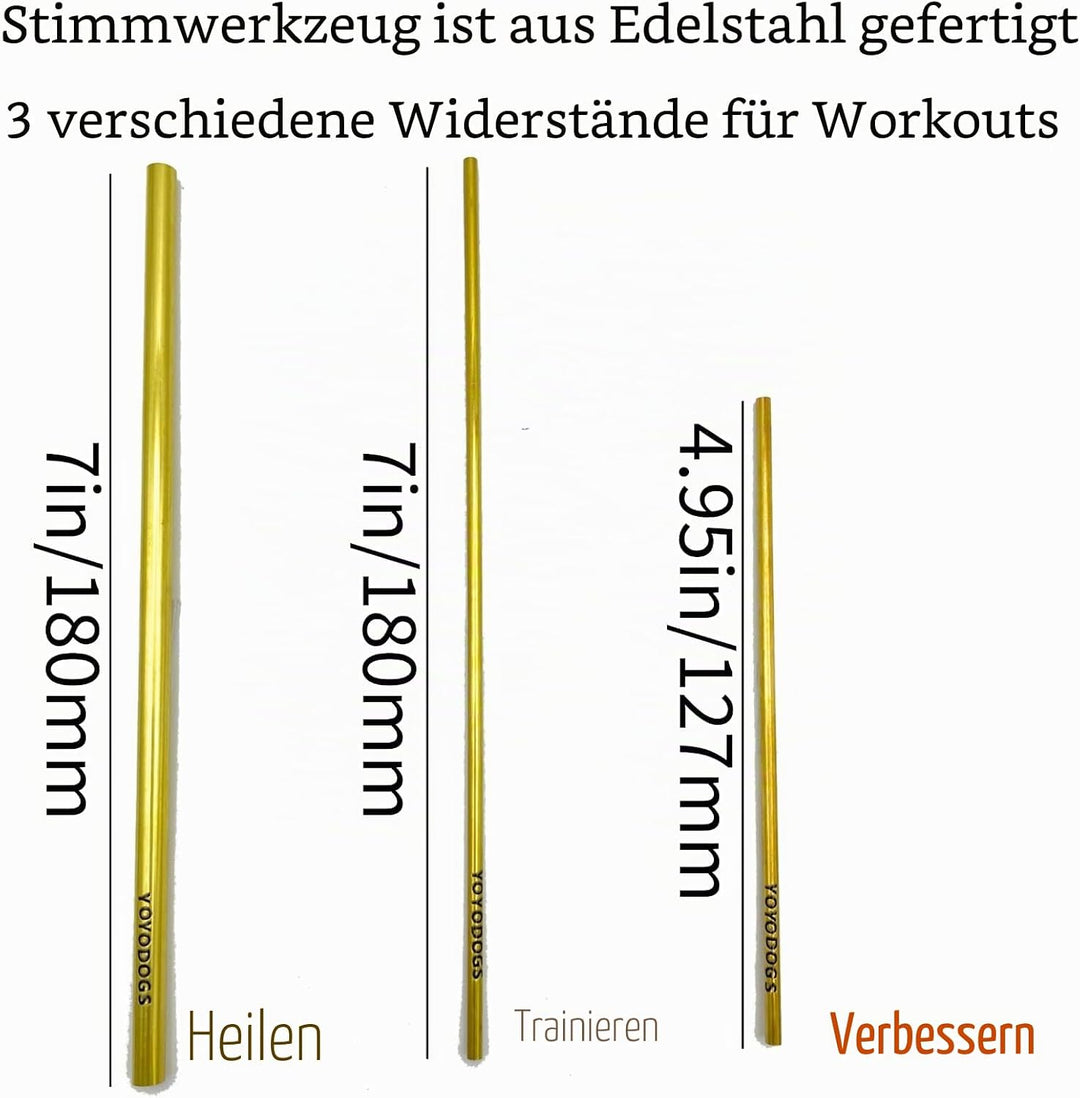 Sing-Strohhalm für Stimmtraining und Heilhilfewerkzeug, Gesangshalm-Stimmtrainer Metalltherapie-Werk