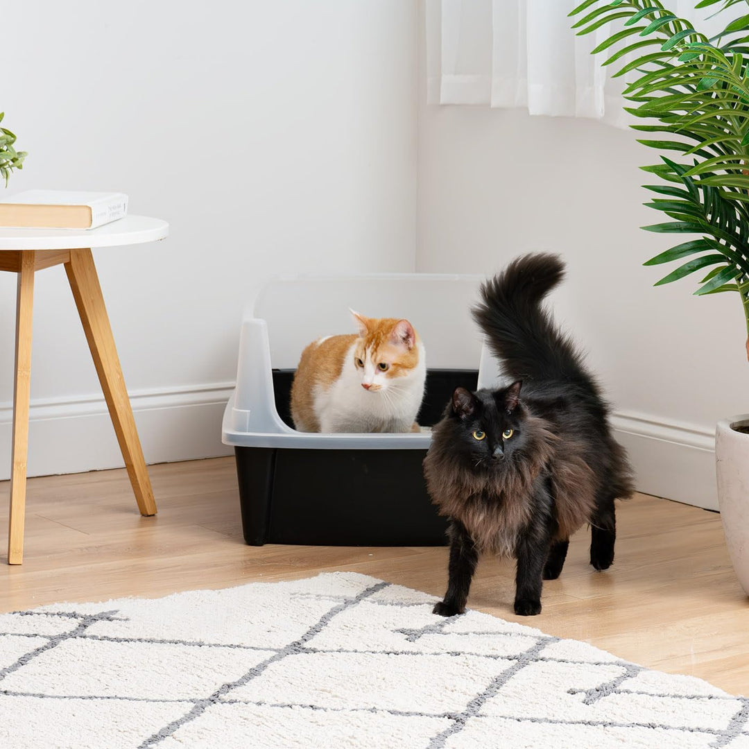Iris Ohyama, XXL Katzenklo, Katzentoilette Hoher Rand, Schwarz, Grosses Katzenklo, Abnehmbare Ränder