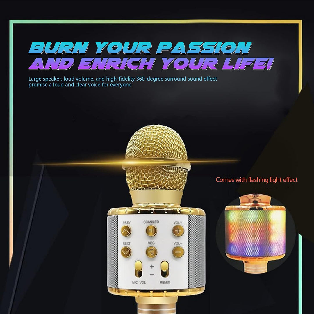 SEAFRONT Tragbarer Kabelloser Mikrofonlautsprecher für Karaoke-Partys mit LED-Licht und High-Fidelit