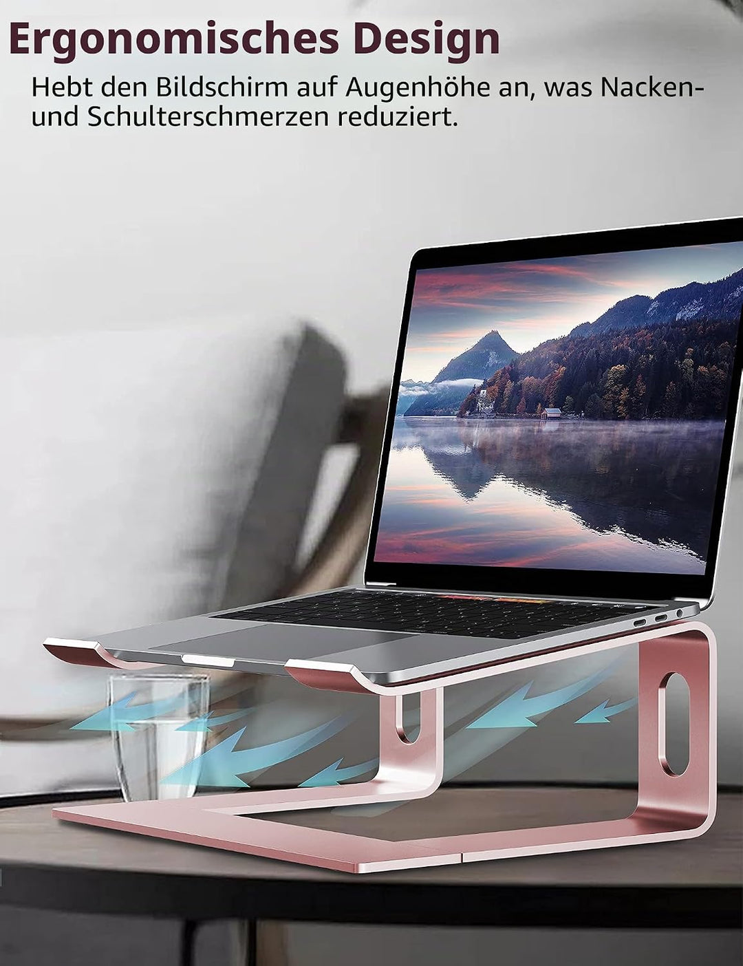 ALASHI Laptop-Ständer für Schreibtisch, Aluminium-Computer-Erhöhung, ergonomischer Notebook-Halter,