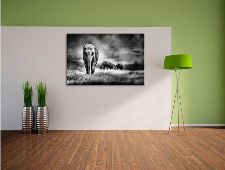 Pixxprint Monocrome, Prächtiger Elefanten in Steppe, Format: 100x70 auf Leinwand, 100x70
