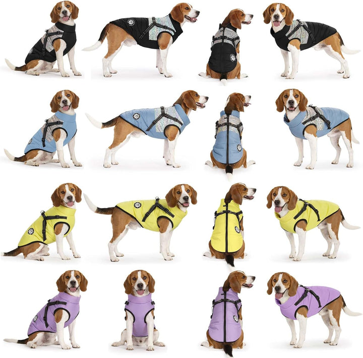 LUOWAN Hundemantel für kleine Hunde, Hundemantel mit Geschirr, Reflektierende Outdoor-Hundeweste, Wi