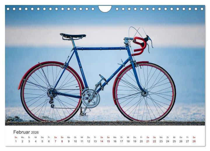 Stahlrenner - Rennrad-Klassiker aus Europa (Wandkalender 2026 DIN A4 quer), CALVENDO Monatskalender: