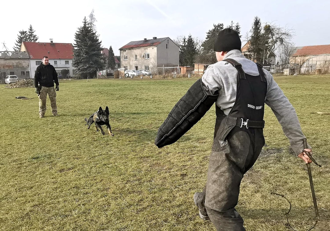 Dingo Gear Schutzarm Extern MEDIUM aus Nylcot Schwarz Bissmanschette Hundeausbildung Hundetraining B