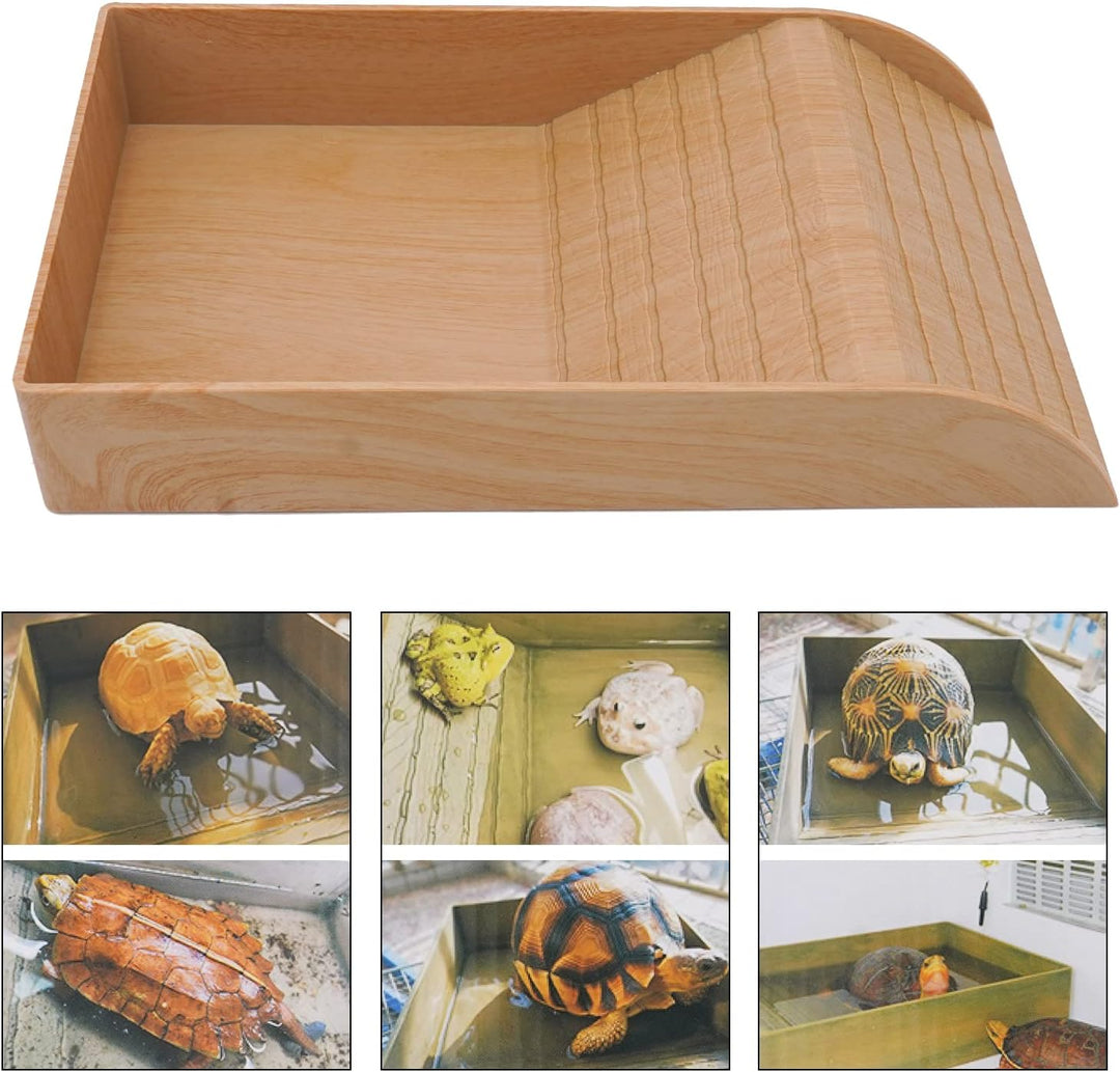 nomal SchildkröTen Wasserschale, Large Reptile Feeding Dish with Ramp Futterschale SchildkröTe Sonne