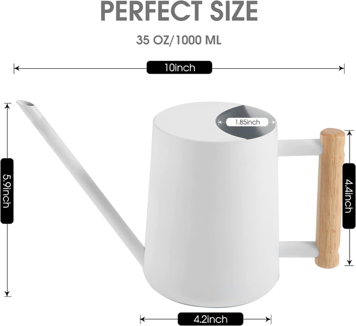 Giesskanne Zimmerpflanzen, 1000ml Metall Edelstahl Giesskanne Kleine Moderne Bewässerung Topf mit la
