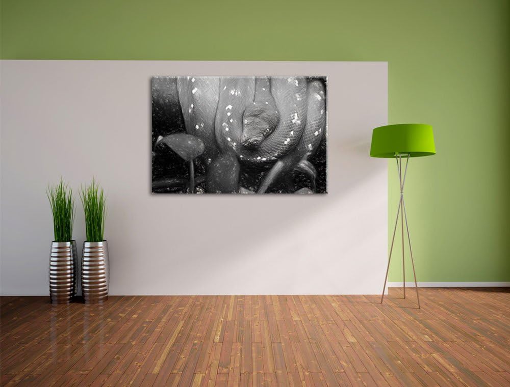 Pixxprint grüne Schlange / 100x70cm Leinwandbild bespannt auf Holzrahmen/Wandbild Kunstdruck Dekorat