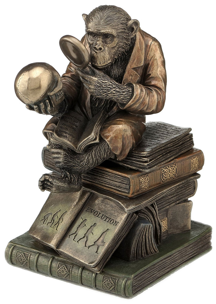 17,2 cm Schimpanse Scholar Dekorative Schmuckdose, bronzefarben