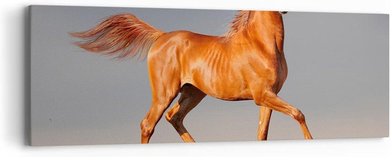 ARTTOR Bilder auf Leinwand Tiere Pferd Galopp Geschwindigkeit Leinwandbild 90x30cm Wandbilder Dekora