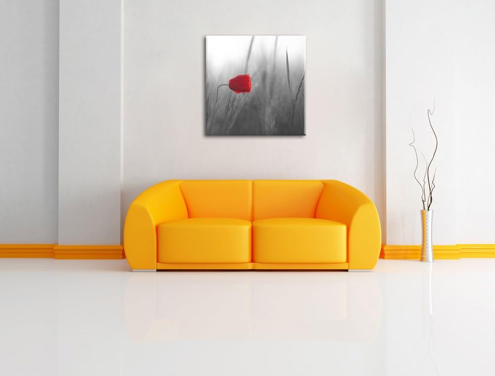 Pixxprint Einzelne rote Rose im Sonnenlicht als Leinwandbild Quadratisch| Grösse: 70x70 | Wandbild|