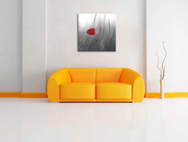 Pixxprint Einzelne rote Rose im Sonnenlicht als Leinwandbild Quadratisch| Grösse: 70x70 | Wandbild|