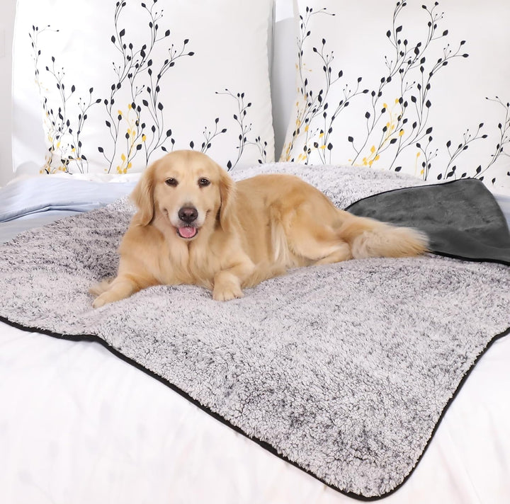 PETTOM Hundedecke Wasserdicht, Hundedecke Flauschig aus Sherpa Fleece, Hunde Decke Sofaschutz, Katze