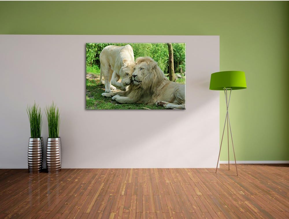 verliebtes Löwenpaar, Format: 100x70 auf Leinwand, XXL riesige Bilder fertig gerahmt mit Keilrahmen,