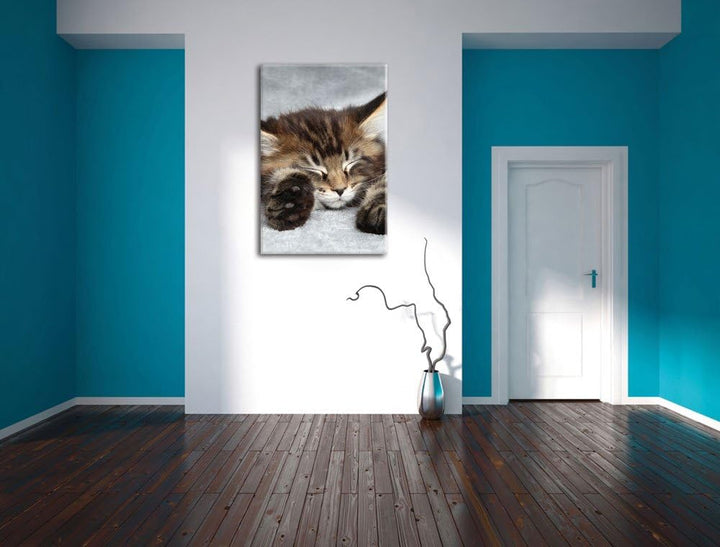 Süsse Baby Katze, Format: 100x70 auf Leinwand, XXL riesige Bilder fertig gerahmt mit Keilrahmen, Kun