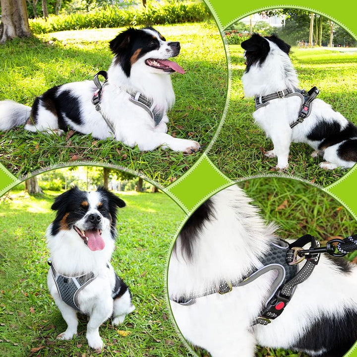 Eyein No-Pull Hundegeschirr, Air-Mesh Atmungsaktiv Brustgeschirr für kleine, mittelgrosse und grosse