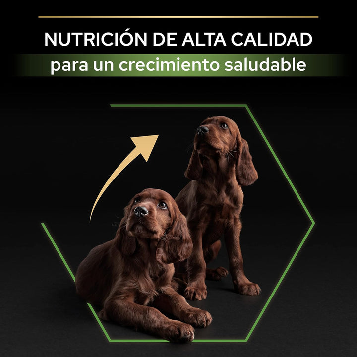 Pro Plan PURINA PRO PLAN Large Athletic Puppy Healthy Start, Welpenfutter trocken, reich an Huhn, 1e
