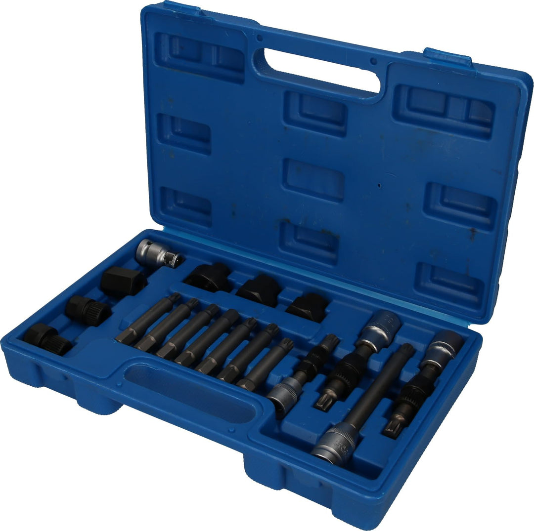 BRILLIANT TOOLS BT571020 Lichtmaschinen Bit- und Steckschlüssel-Satz, 18-tlg [Powered by KS TOOLS]