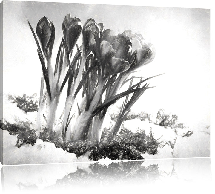 Pixxprint Frühling florwer Hintergrund als Leinwandbild/Grösse: 100x70 cm/Wandbild/Kunstdruck/fertig