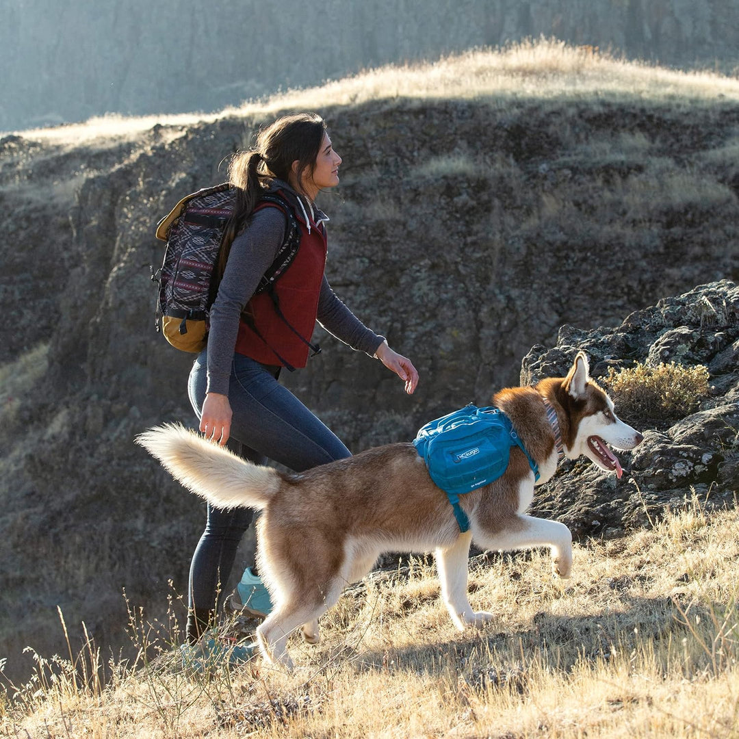 Kurgo RSG County Hundegeschirr, Verstellbare Nacken- und Brustgurte, Mit zwei Griffen und Schnellver