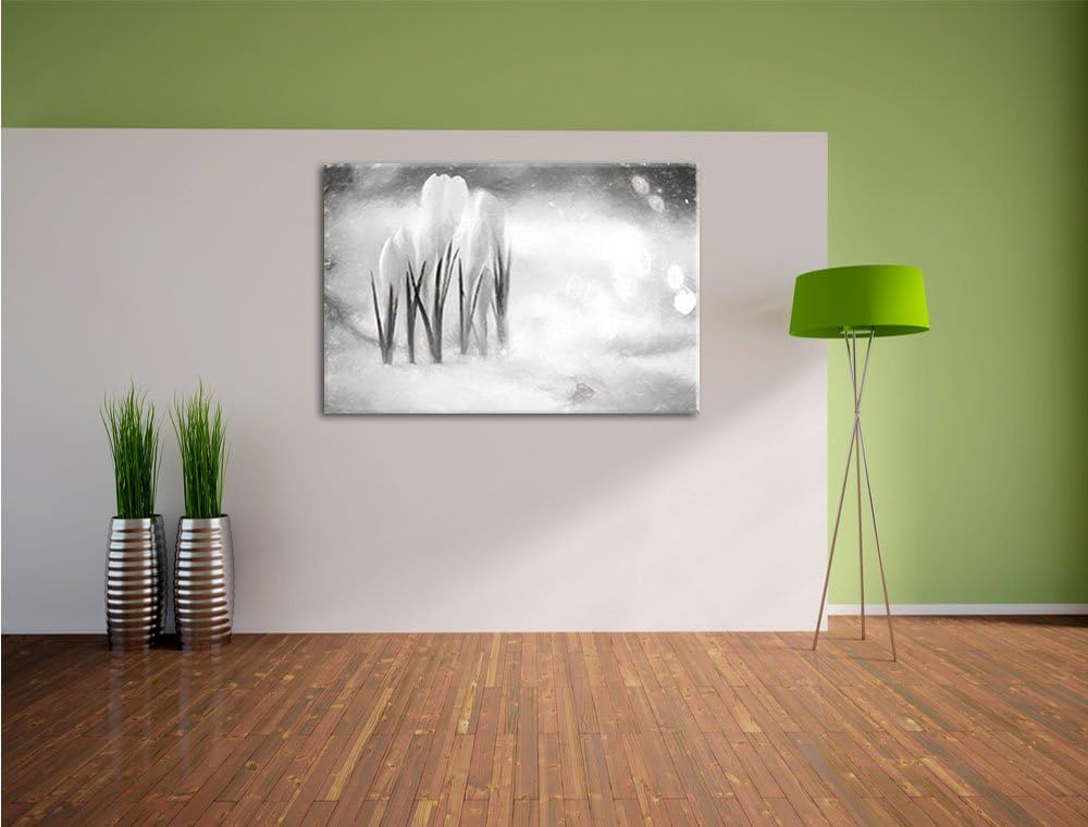 Pixxprint Schneeglöckchen im Frühjahr Kunst Kohle Effekt, Format: 100x70 auf Leinwand, XXL riesige B