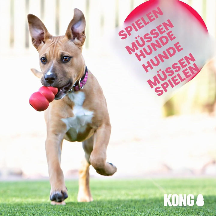KONG Wild Knots Bear - Hundespielzeug aus Geknotetem Seil - Minimale Füllung - Für Kleine/Mittelgros