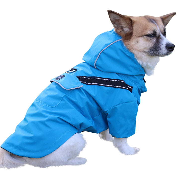 Premium-Regenmantel Mit Kapuze für Mittelgrosse Hunde, Outdoor-Sport, Wasserdichte Regenjacke, Welpe