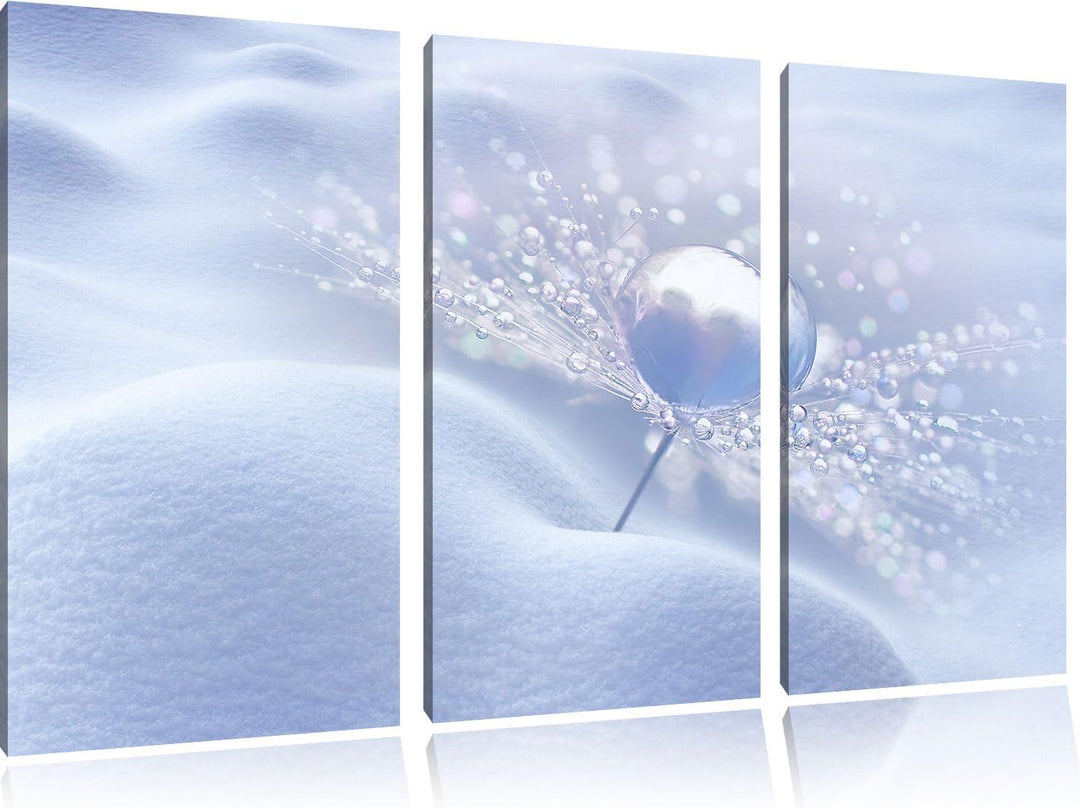 Pixxprint Tautropfen auf Einer Pusteblume im Schnee 3-Teiler Leinwandbild 120x80 Bild auf Leinwand