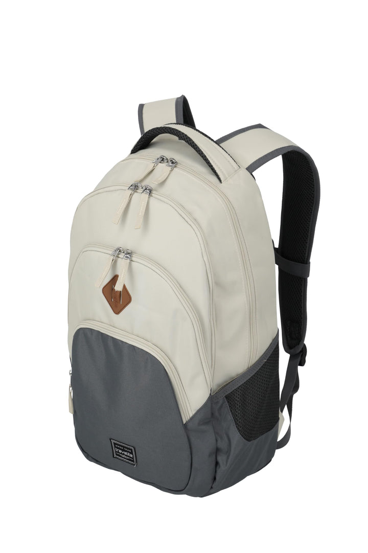 Travelite Handgepäck Rucksack, Laptop Rucksack 15,6 Zoll, BASICS, Daypack, Tagesrucksack mit vielen