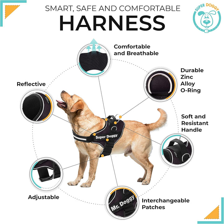 Personalisiertes Hundegeschirr - Reflektierendes und sicheres Hundegeschirr - Enthält 2 Namensschild