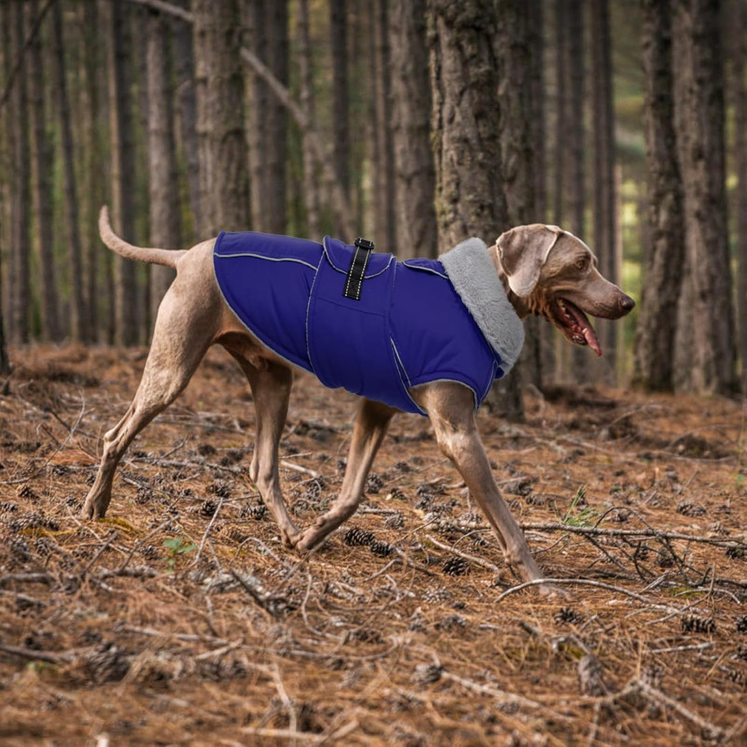 Lelepet Hundejacke Winter Warmer Hundemantel, Wasserdichter Wintermantel Fleece Hundeweste für Mitte