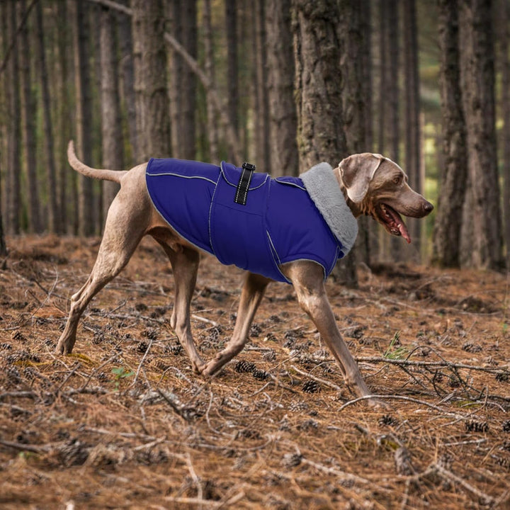 Lelepet Hundejacke Winter Warmer Hundemantel, Wasserdichter Wintermantel Fleece Hundeweste für Mitte