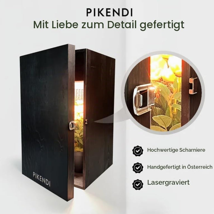 Bonsanto Pikendi Premium Schwarz Mini Grow Box, Komplett Set mit leisem Aktivkohlefilter &amp; 35W LED,