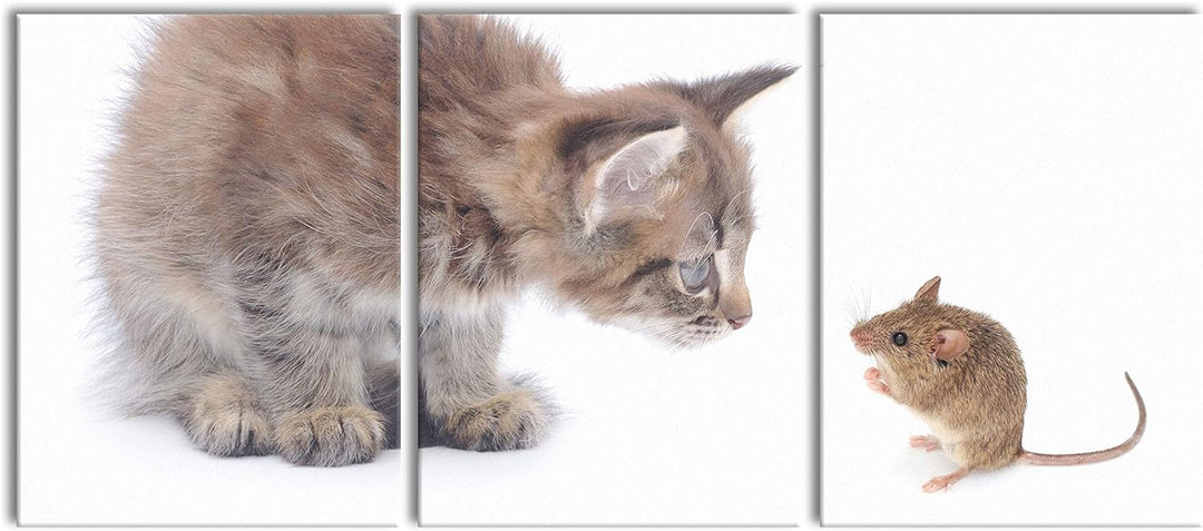 Pixxprint Katze und Maus Freunde als XXL Leinwandbild in Übergrösse 180x80cm Gesamtmass 3 teilig/Wan