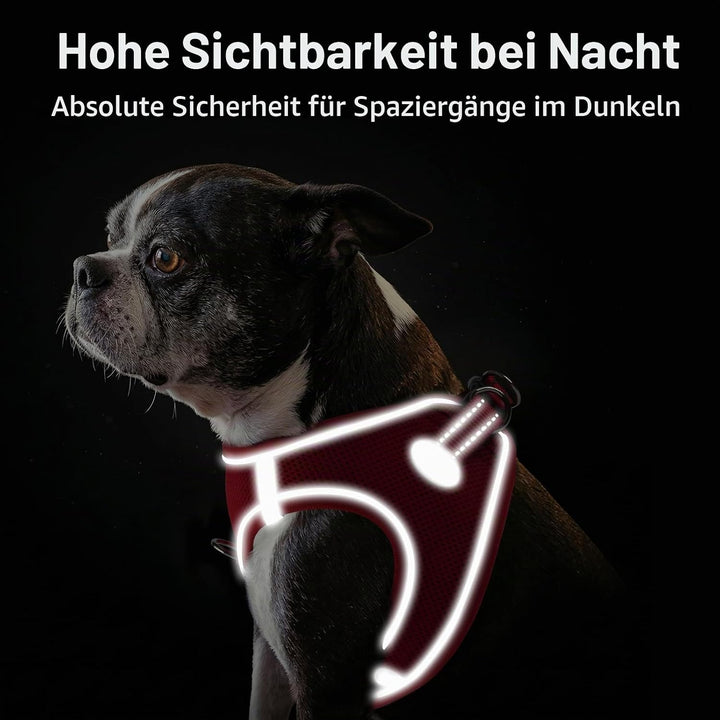 Joytale Hundegeschirr Kleine Hunde, Reflektierend Weich Gepolstert Geschirr, Air-Mesh Brustgeschirr