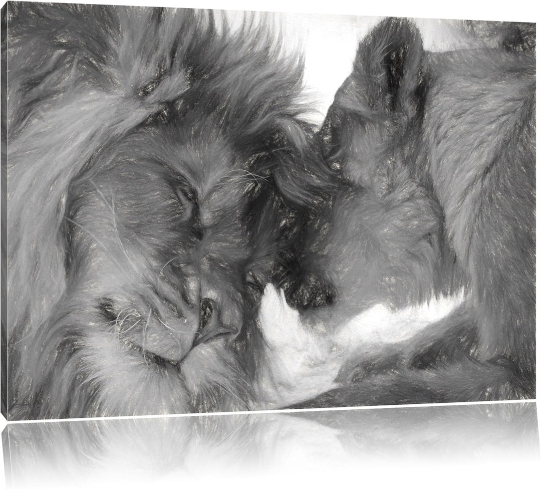 Pixxprint Kuschelnde Löwen als Leinwandbild/Grösse: 100x70 cm/Wandbild/Kunstdruck/fertig bespannt, 1