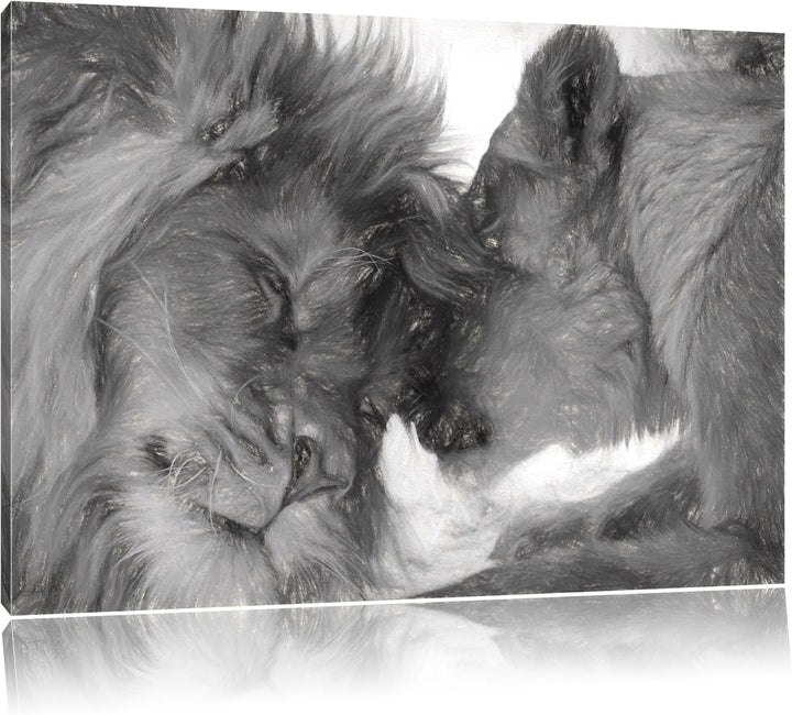 Pixxprint Kuschelnde Löwen als Leinwandbild/Grösse: 100x70 cm/Wandbild/Kunstdruck/fertig bespannt, 1