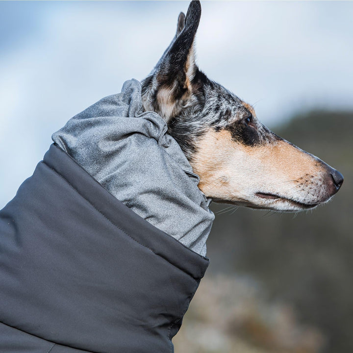 Extreme Overall Winterjacke für Hund (BlackBerry, 65M)