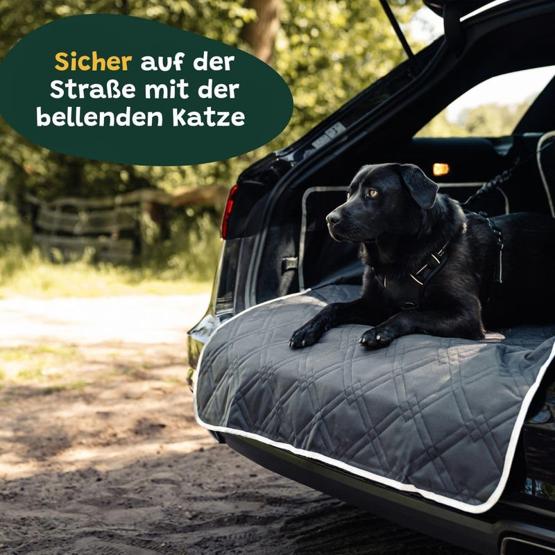 Die Bellende Katze Premium Hundedecke Auto Kofferraum – Hundedecke wasserdicht und Kratzfest – Autod