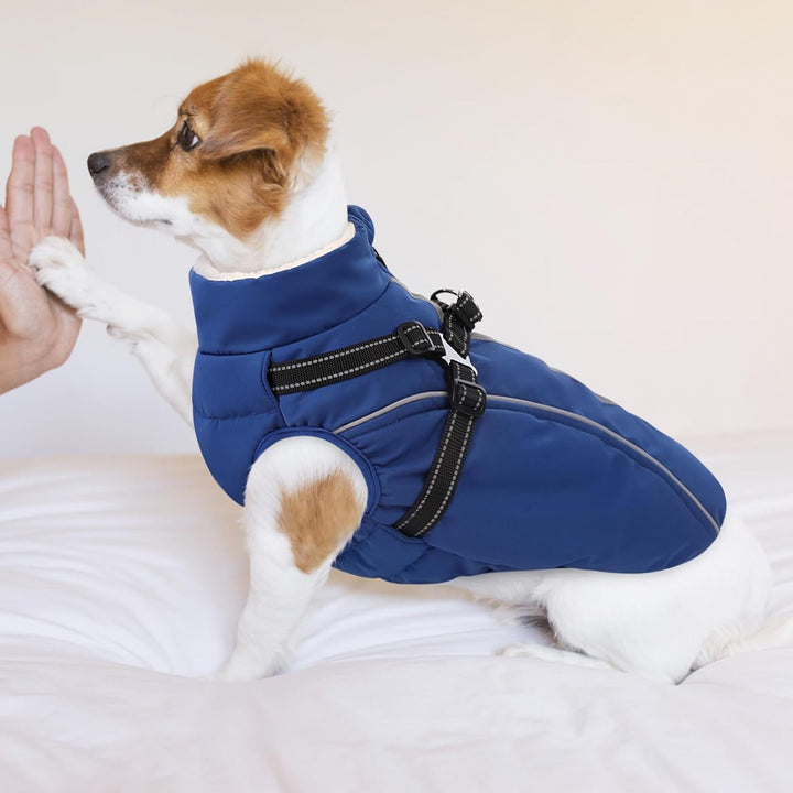 Hundemantel Hundejacke Warm Wintermantel mit Reissverschluss Winddichte & Winddichte mit Reflektorst