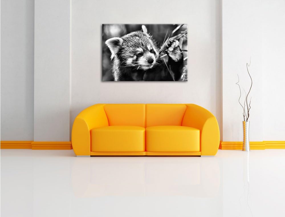 Pixxprint Kleiner Panda SAGT Hallo / 100x70cm Leinwandbild bespannt auf Holzrahmen/Wandbild Kunstdru